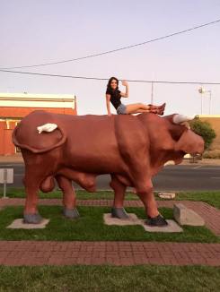 12800404_1138982942792857_997671816517212413_n